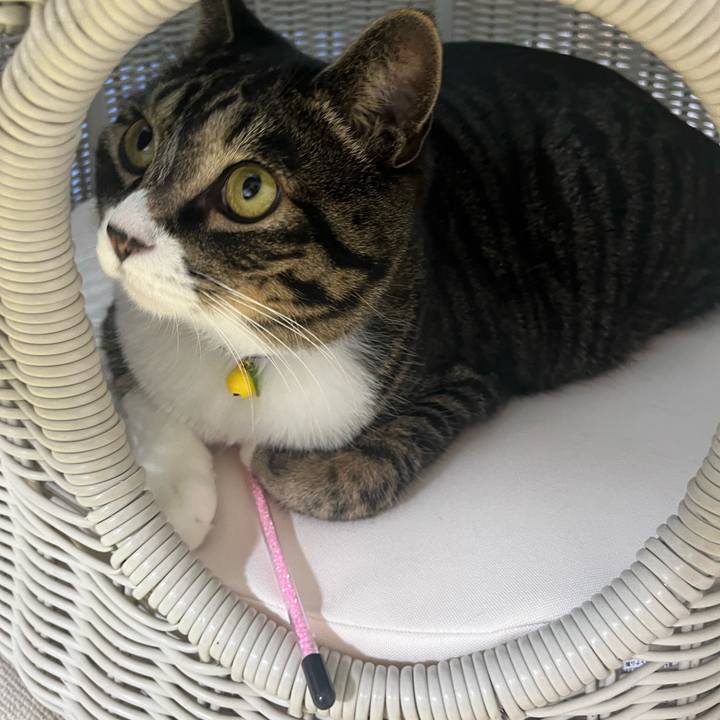 Bf7a3550 ad14 4331 a28b ebc83f6c5c08 1762562014175