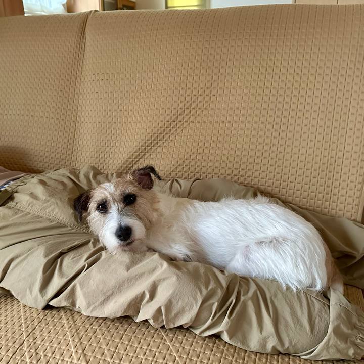 Bf7a5750 6e00 4943 a1ea 940c404fe977 1726470447412