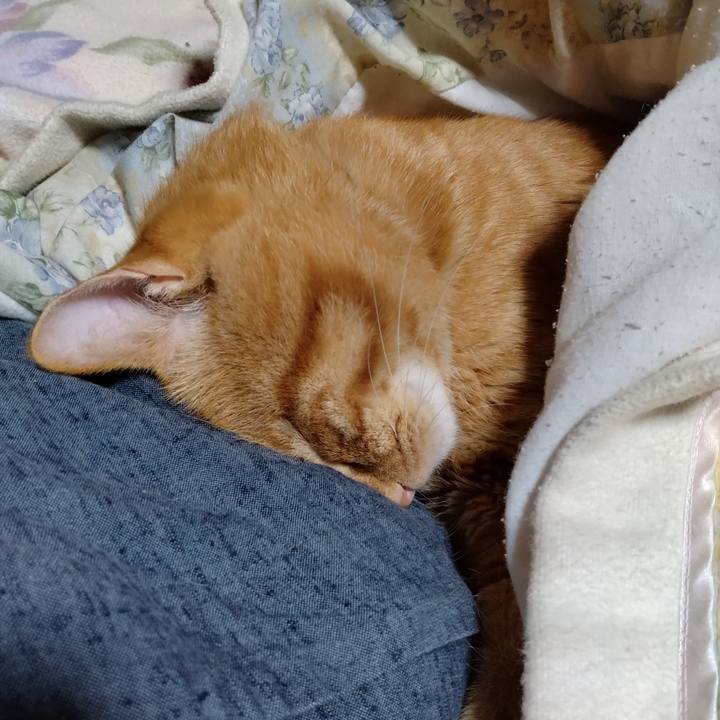 Bf7a7055 3eae 4f25 b8e2 7c7628c49997 1698321151647