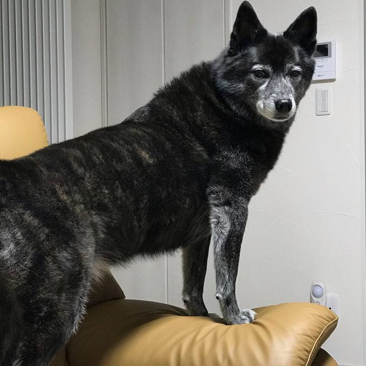 Bf7a7c71 7bbe 4cb2 a38c a7ce994f36d6 1606016655940