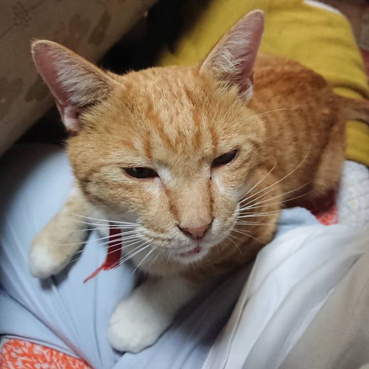 Bf7a9551 28b7 4770 a09e 0724afafe62b 1570531468554