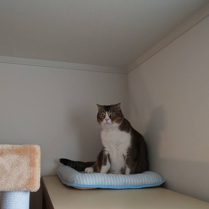 Bf7aaecd a8d3 4140 ba6e ad472823c995 1571549353148