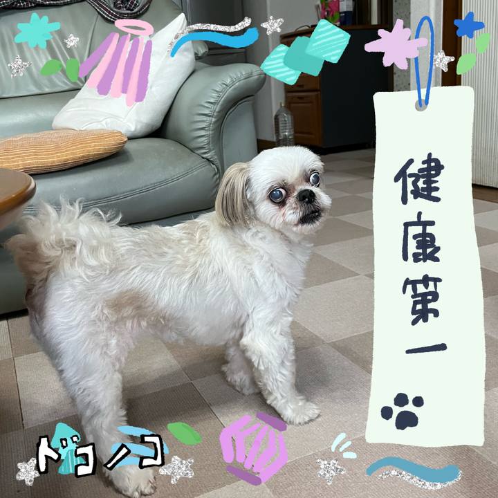 Bf7acf18 9594 41fe 83c9 5534054743ad 1720834456963