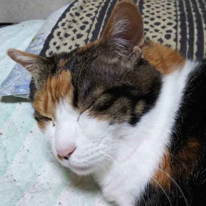 Bf7ad4f2 dfb9 4777 99af f23ba01aa7ff 1557672716270