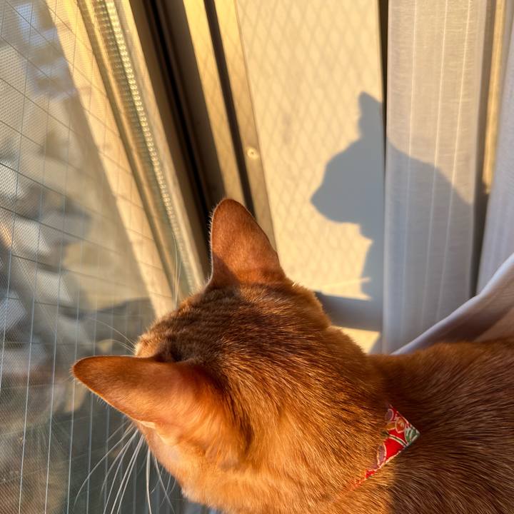 Bf7af1e3 f047 4caf a422 340d291cb2c9 1666423382602