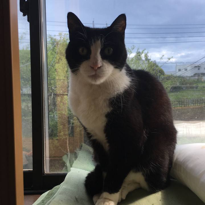 Bf7b0aba 6208 40b8 b887 de39bb9ebec9 1523767412075