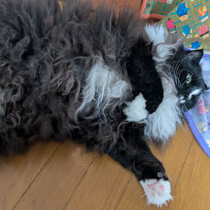 Bf7b1c53 c34a 43e5 9a71 3083993219c3 1769093688609