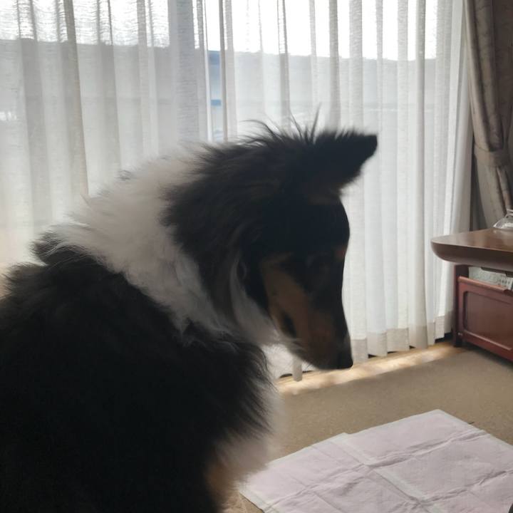 Bf7b5ddb 7be1 4be6 ba5b d1247a38f01c 1520635789825