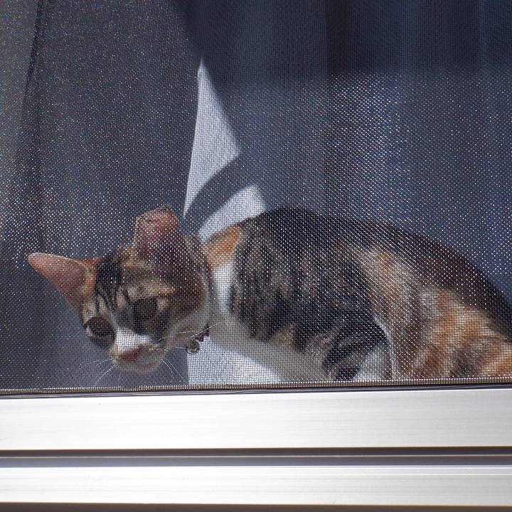 Bf7b6cb9 fada 4bd8 8aa2 ef76f680e5d3 1633398963026