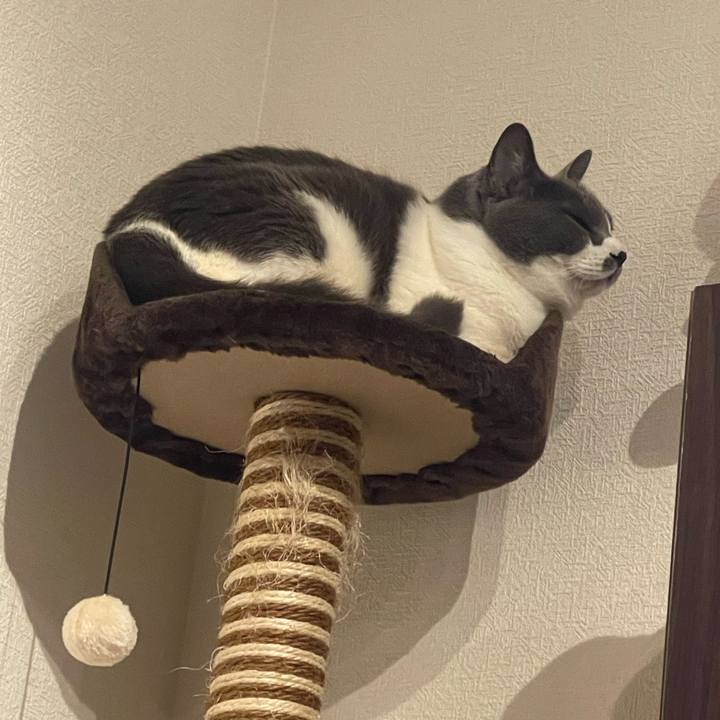 Bf7b8e15 0ae8 42cd ad1f cec787fe865f 1705576253328