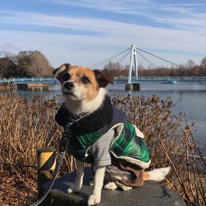 Bf7b996d 47e9 4f74 9b67 5949f64d9907 1546744982781