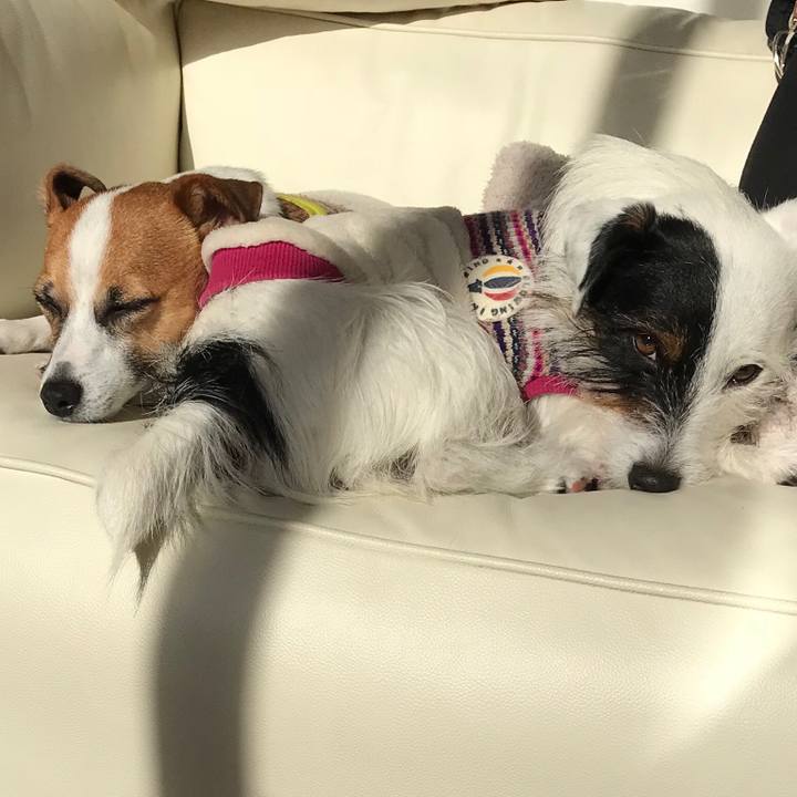 Bf7bc6ce 9603 4ccf ba42 2d9a937d9fca 1514002626716