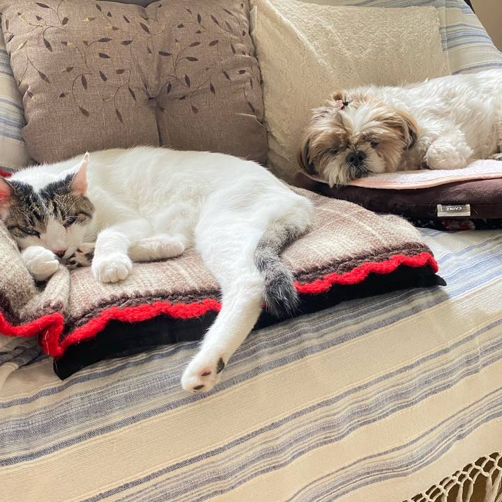 Bf7bd784 436b 4b21 ac7f a05ca3aab9c2 1664431970309