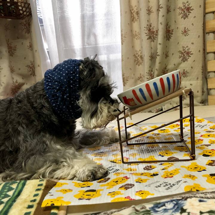 Bf7be48f f31c 4eb0 b6c2 5ad689204cd3 1637540550617