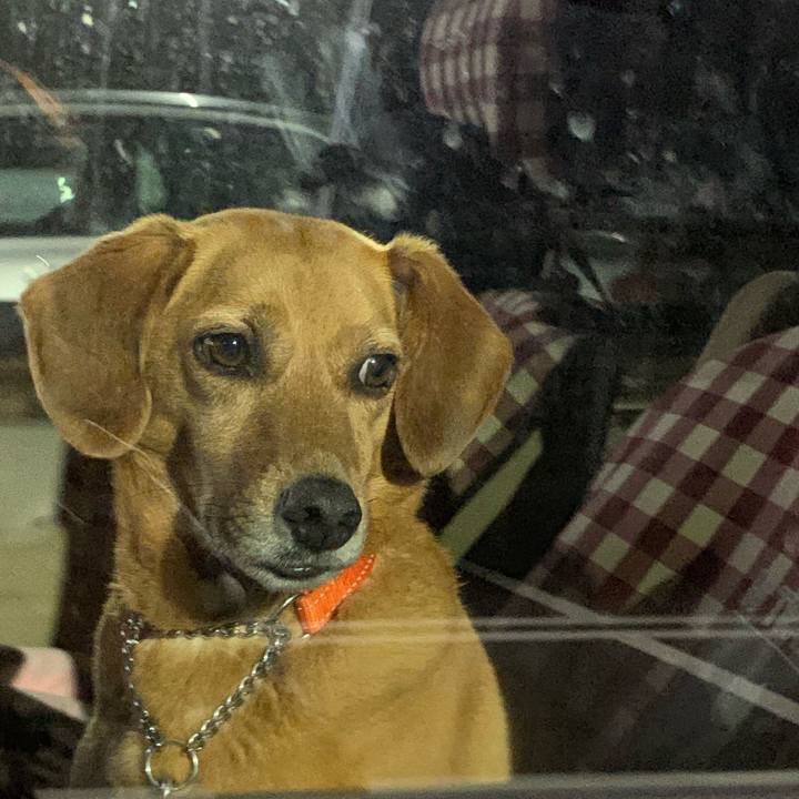 Bf7be4df 8822 4f50 916c fb92b18b91e7 1560589060114