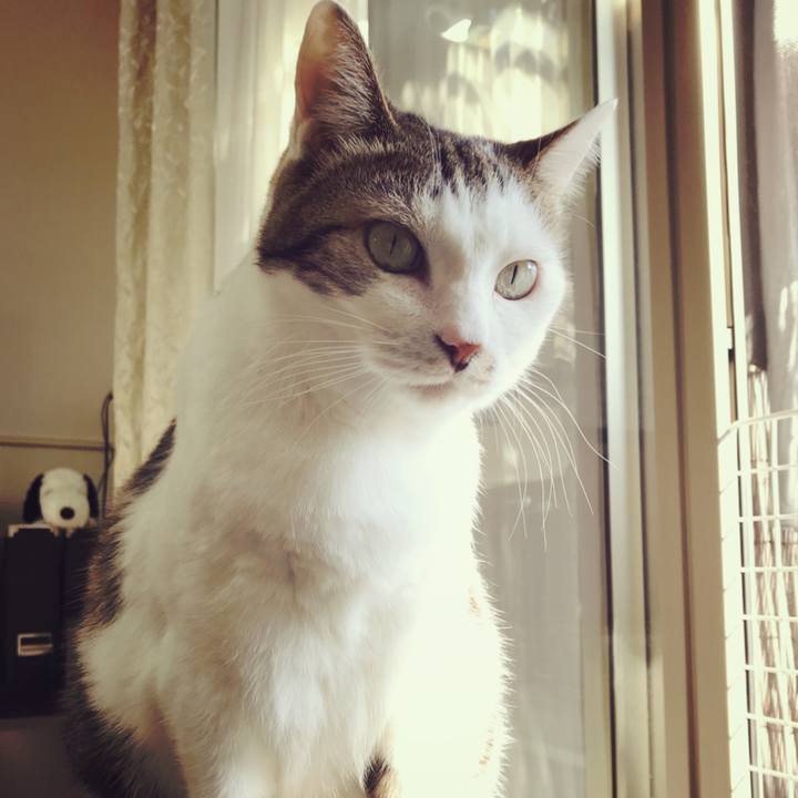 Bf7c1a17 72cf 4282 aa60 5d21afffc5ce 1509353804807