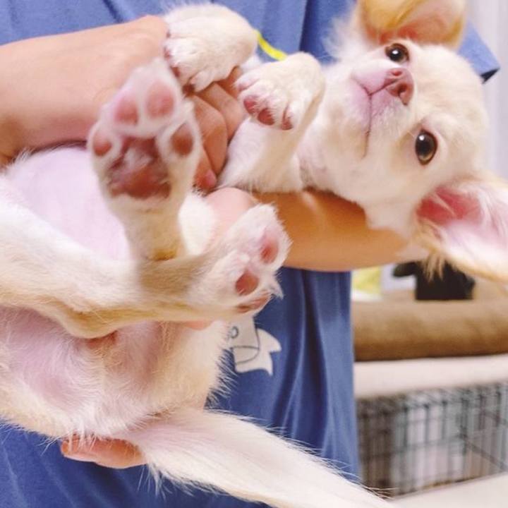 Bf7c6b4e 15b0 4576 a9d9 b89821acea5c 1749293595357