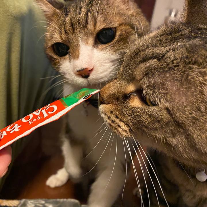 Bf7c858e 13b5 4d01 960a 06f74eb54348 1608376355467