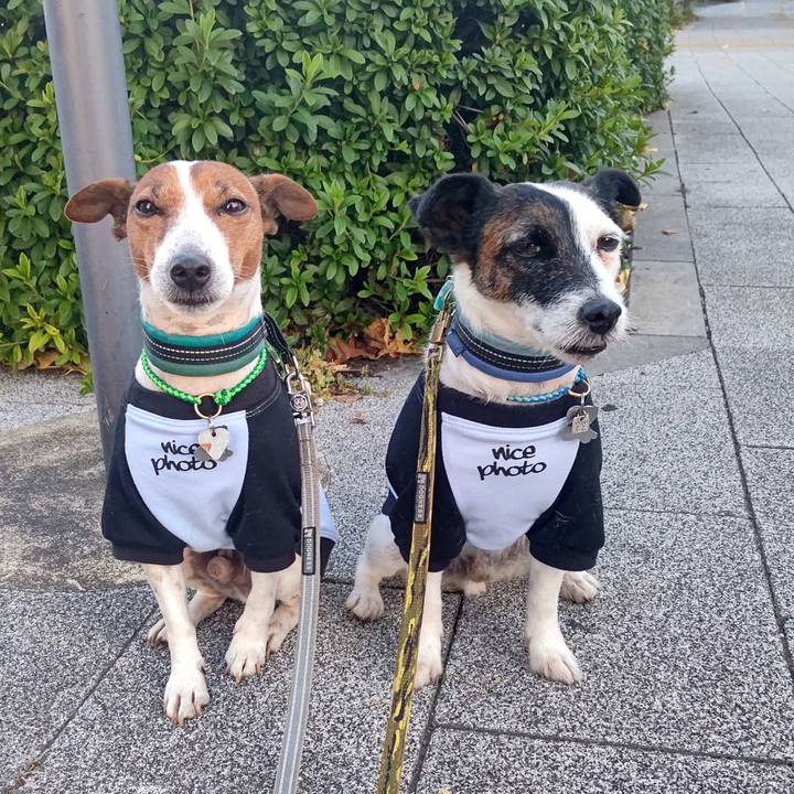 Bf7c9e58 4a60 4892 b478 95f2bd7326ff 1701296815269