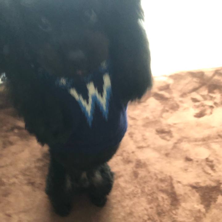 Bf7caa6b e397 4ea7 b174 786c2a74a103 1586003364095