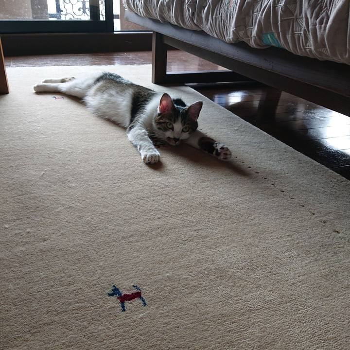 Bf7cb660 5bd5 4554 8110 3643a752fcb1 1561098537763