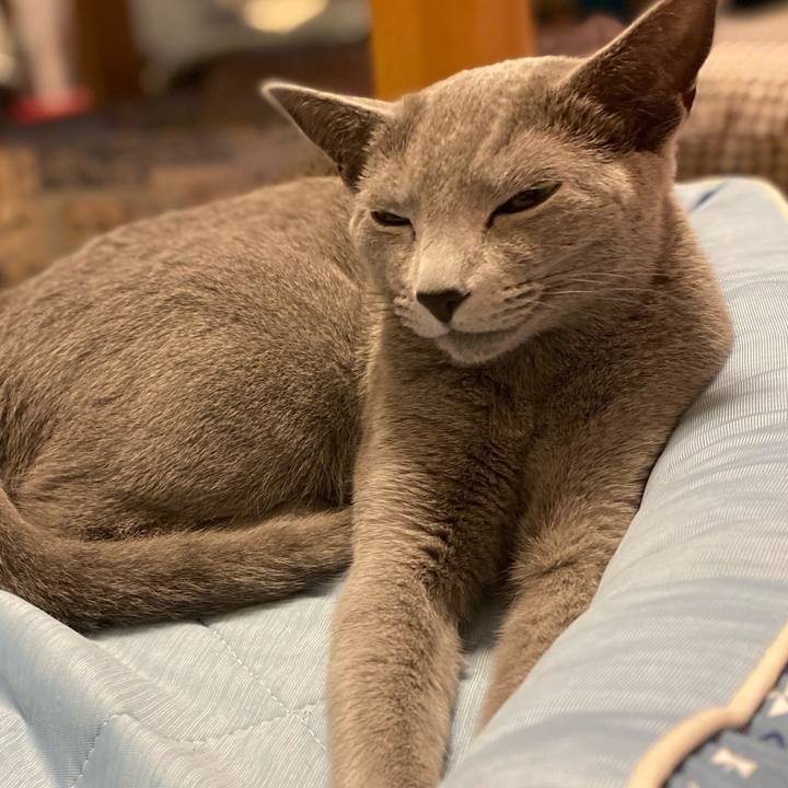 Bf7cc488 215b 4549 825a 8c526c833993 1623153171983