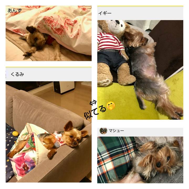 Bf7cd1fa 6144 4c0b b6ee dd0729b0fd5d 1592026211618