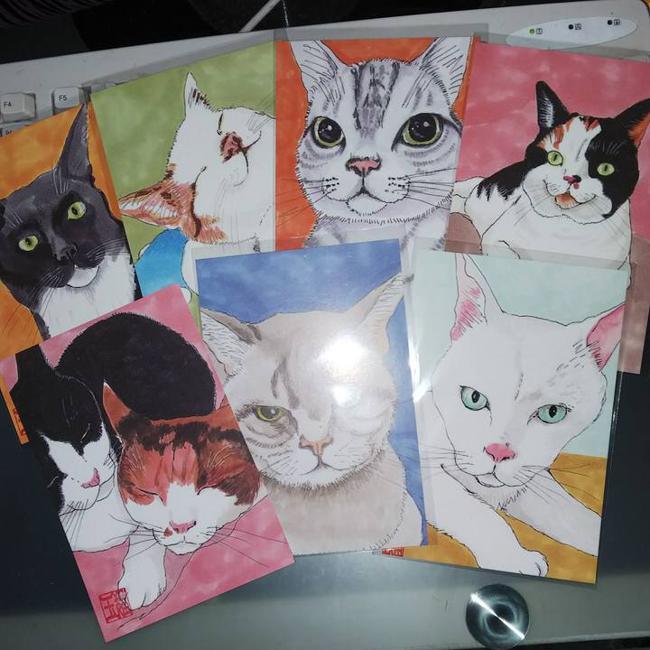 Bf7cd60a d0cf 48d5 9b66 3cad1a806b14 1533819236635