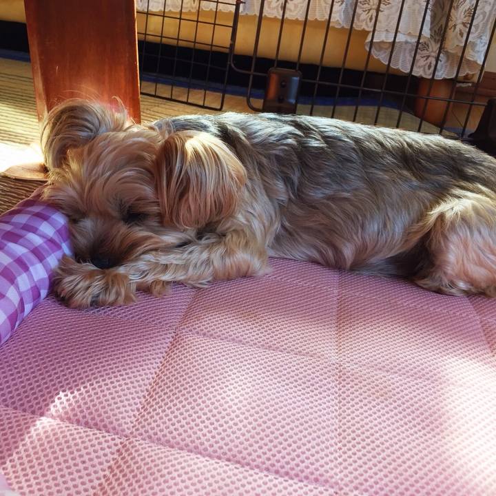 Bf7cf283 684e 454b 9be5 b0d4f8aac729 1534756708484