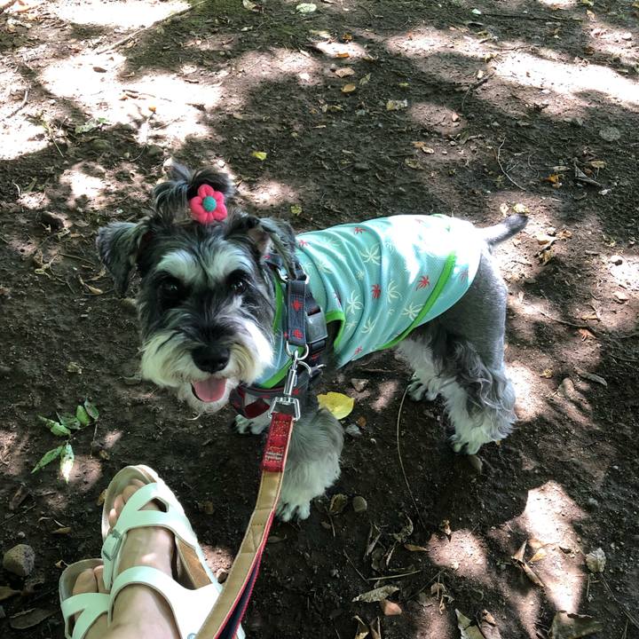 Bf7cf54d 8c80 443f 906e b0365ba24f1b 1660916643771