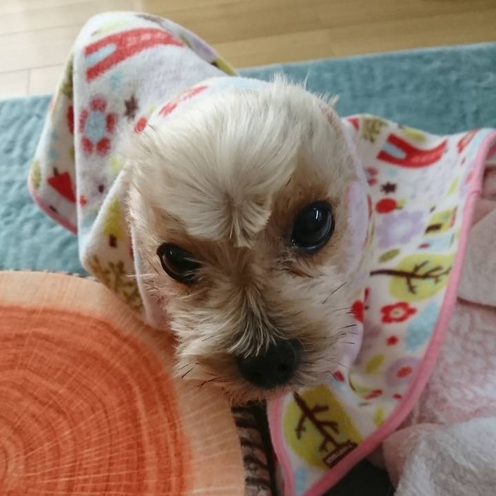 Bf7d0858 899b 4af3 a672 6bd52c66aeed 1539484913852