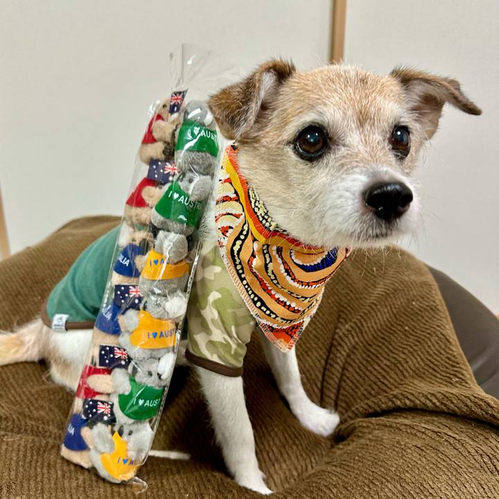 Bf7d3956 65a4 4fd4 b03b cb2b77963f1c 1698537618979