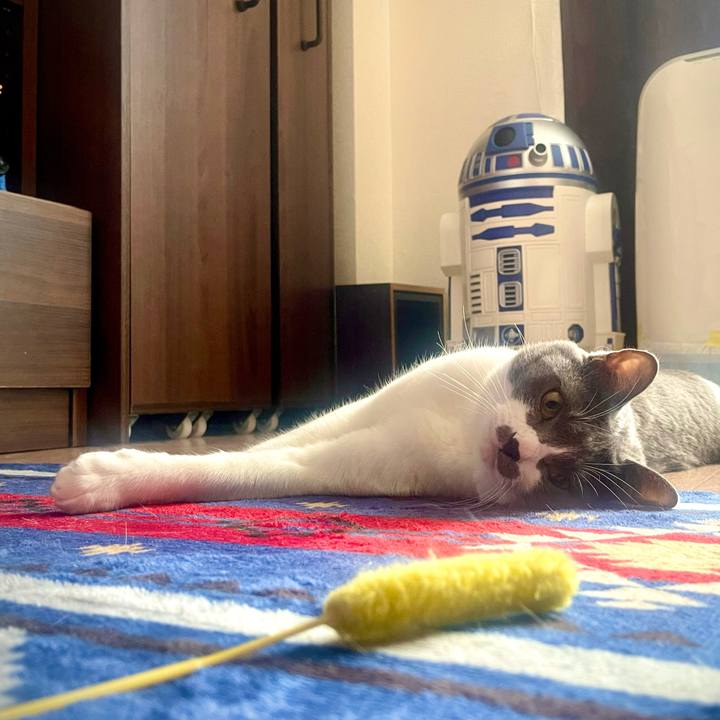 Bf7d6c80 1c6a 476f 8358 90848ce610e2 1628228482283