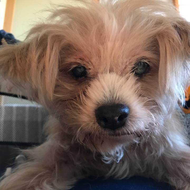 Bf7d93a2 b789 4b8c 919d 1cddd3da606f 1540916056170