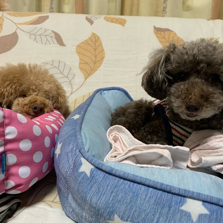 Bf7dde20 00cf 4baa 9f65 00c963f8a9eb 1590012122022