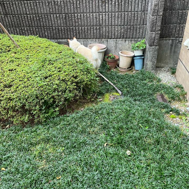 Bf7de473 eb90 4dcf 8979 8bd2f981488b 1634469824046