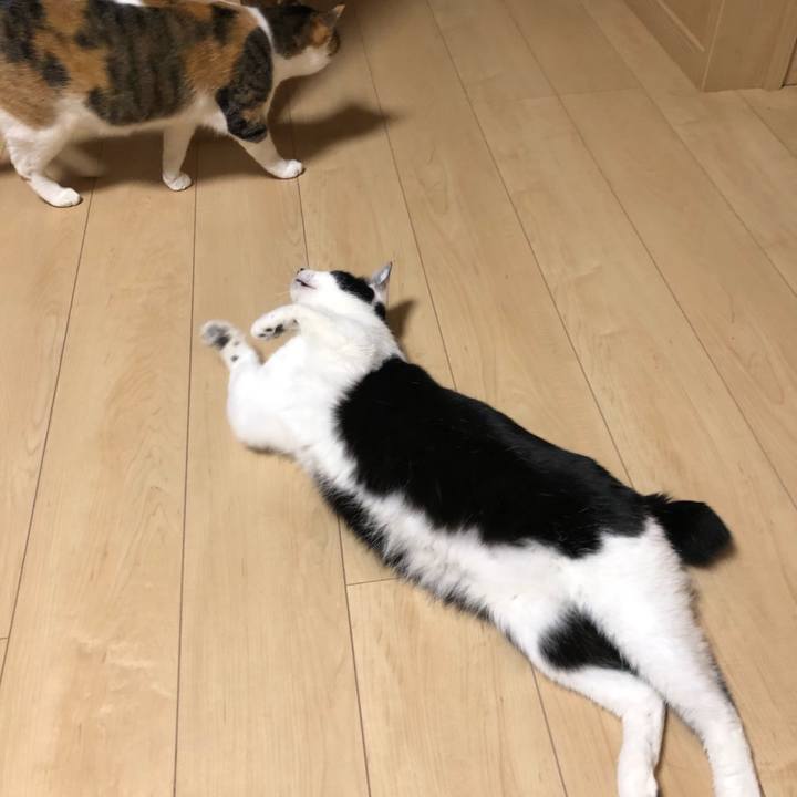 Bf7e2a8f c449 4c63 b29d 7912c91a600d 1588933833544