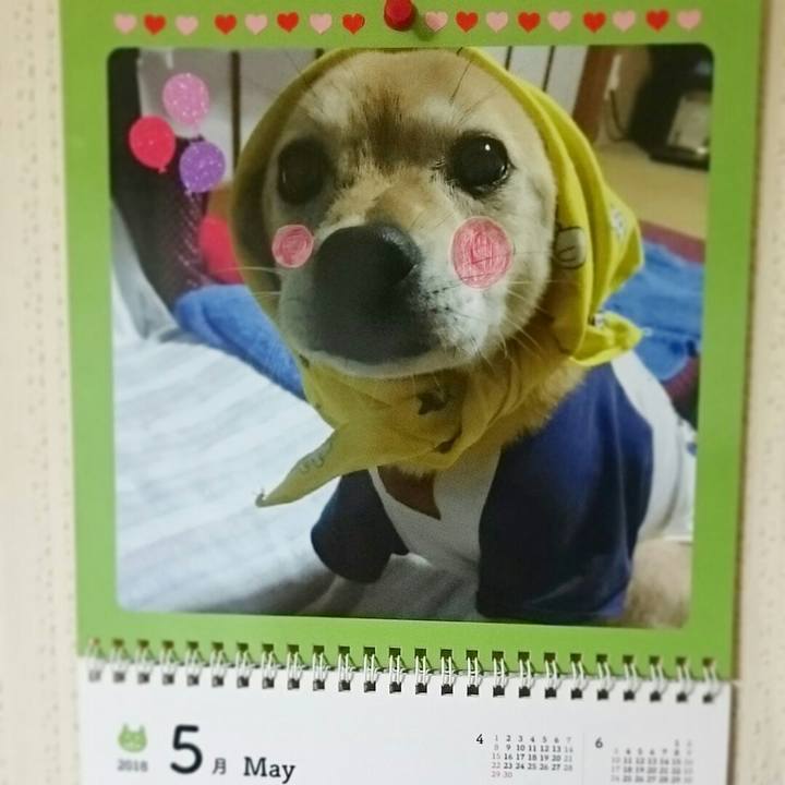 Bf7e3456 ea3f 43c3 b912 5db3b95878e2 1525176226889