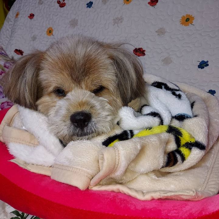 Bf7e7ceb 99a6 4aa3 825f 8e6f97ba5b15 1635162982963