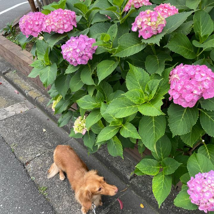 Bf7e7f96 2611 42be b6f9 9afd4ead18dd 1749300988563