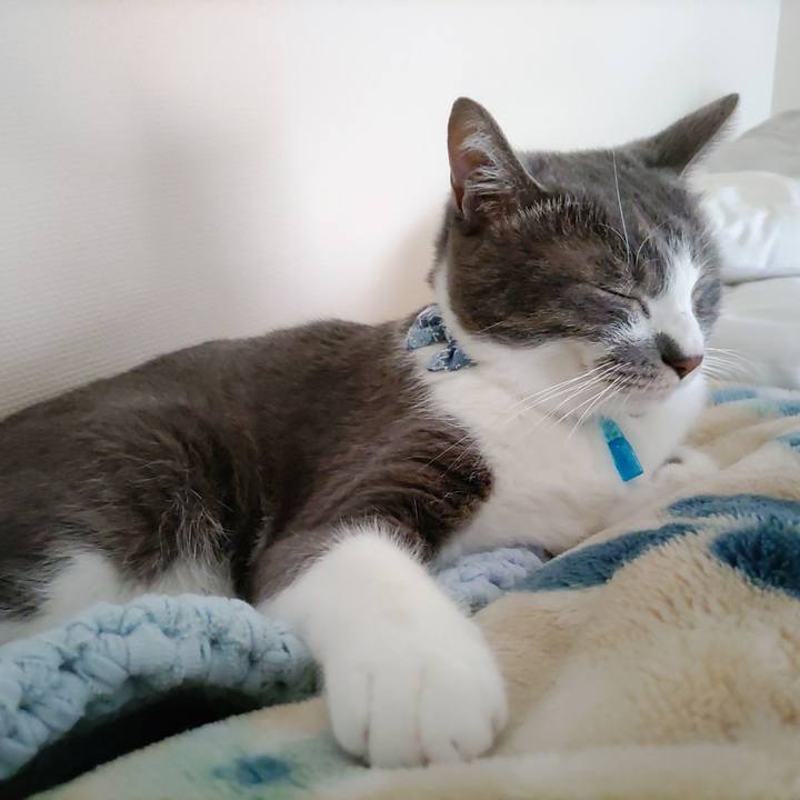 Bf7e8bba 493f 42c8 a880 234db4136f95 1665964112040