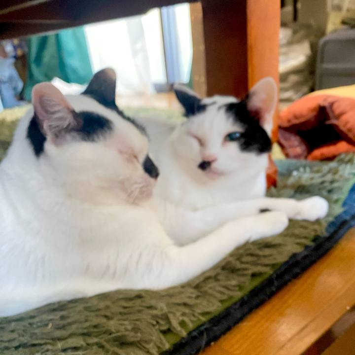 Bf7e90ef 9837 4666 aa31 05eea1c84465 1764199477356