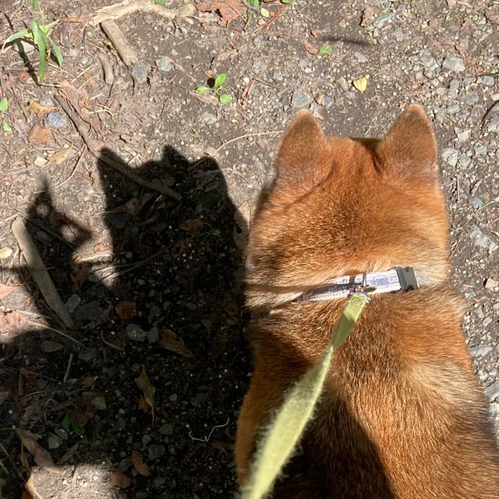 Bf7ebb96 c6d5 42e4 a965 84bd13475170 1696567498497