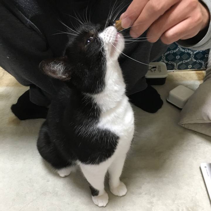 Bf7ec8dd ec9f 4c4b 82fd 2f2a64a33f45 1510938638901