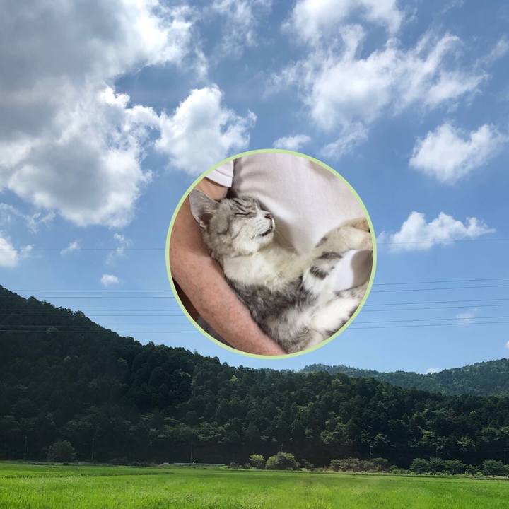 Bf7f00d4 4556 4c16 85b7 5a5f3f4be06a 1568721023589