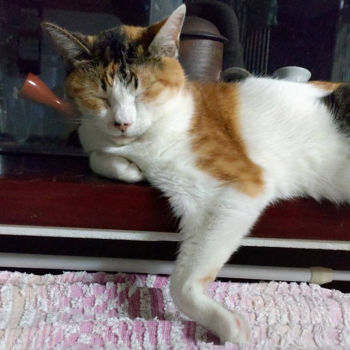 Bf7f1381 bc8b 40cd 82bd bec23bc7033c 1679140168663