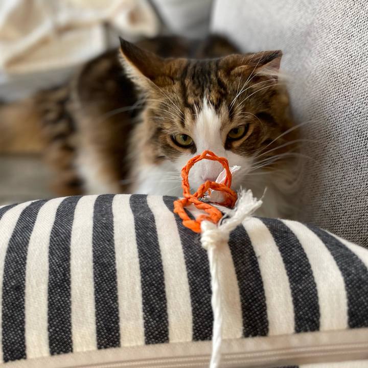 Bf7f26a6 da47 4112 96db cd526f045dda 1652907878745