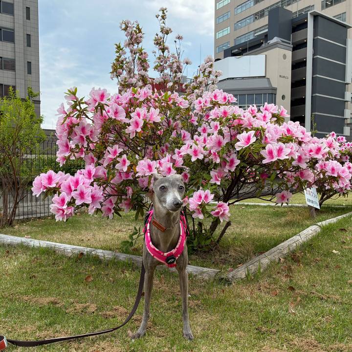 Bf7f87e0 2457 46e6 b572 ec51648484e0 1776156739073