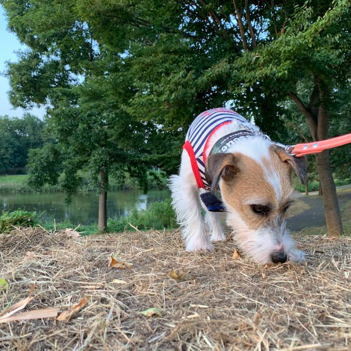 Bf7f8868 2bc2 408e 913c b367224d344f 1598003794992