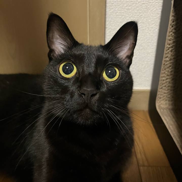 Bf7f9bd8 3152 49e9 a5fb 6ac89a17709a 1693353881421